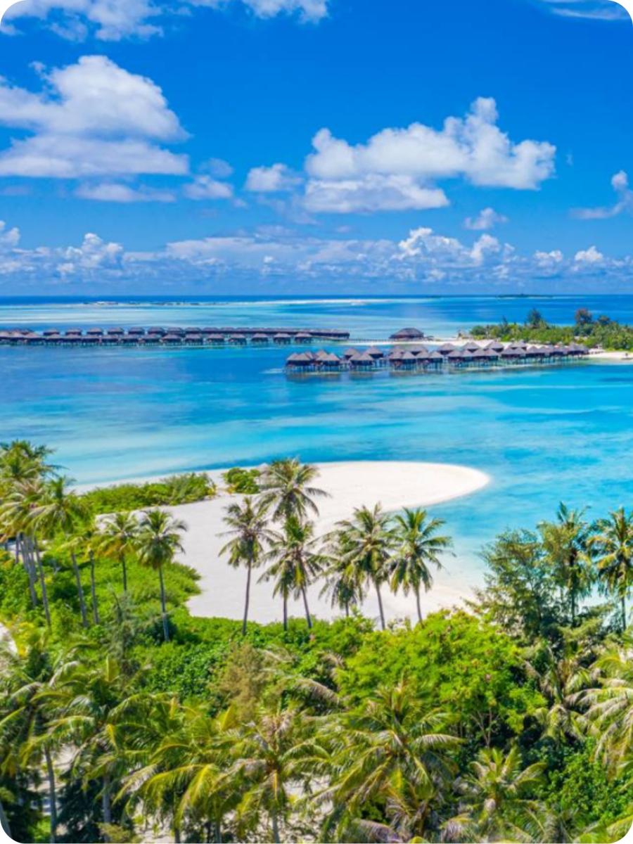 Bird Eye Photogrpahy Van Beachline Naast Bomen